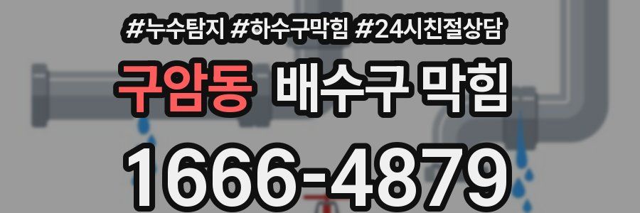 구암동 배수구 막힘