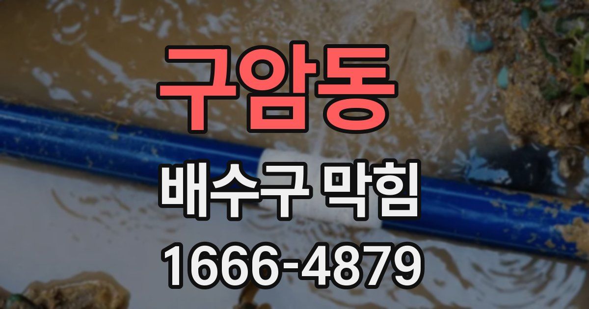 구암동 배수구 막힘