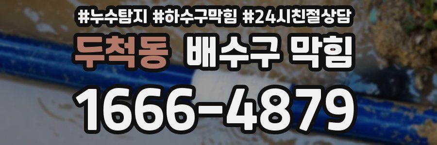 두척동 배수구 막힘