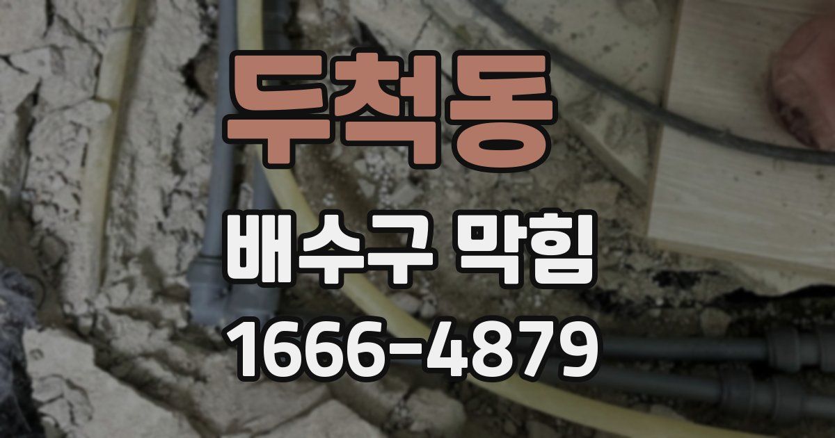 두척동 배수구 막힘