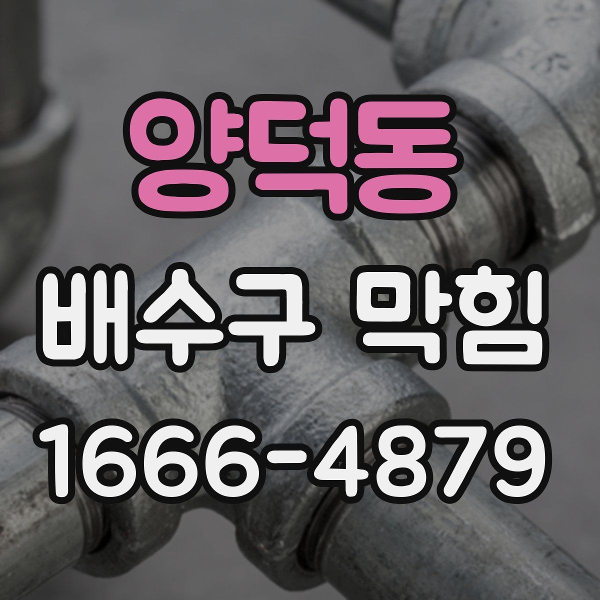 양덕동 배수구 막힘