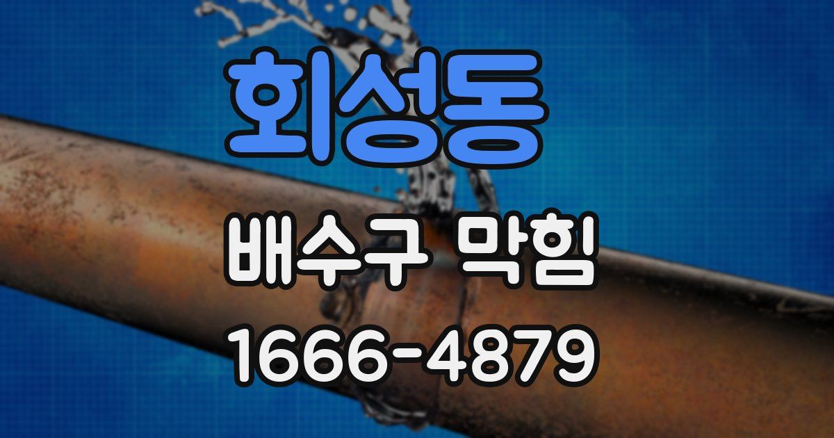 회성동 배수구 막힘