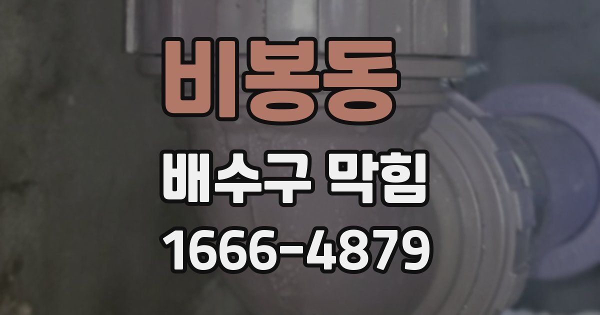 비봉동 배수구 막힘