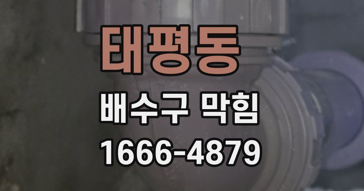 태평동 배수구 막힘