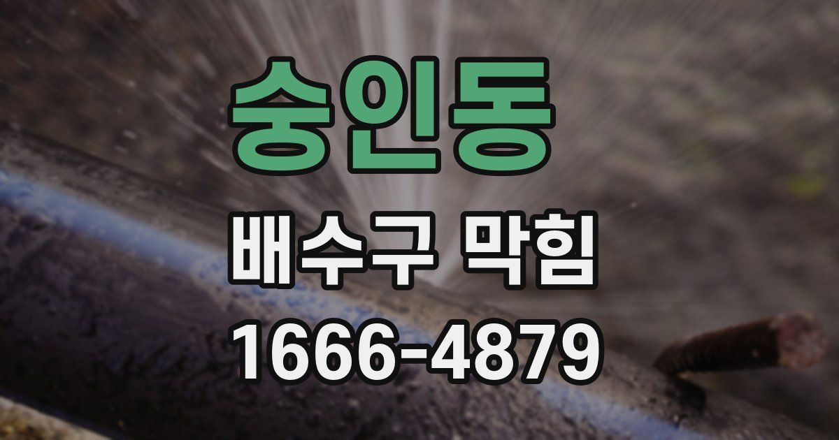 숭인동 배수구 막힘