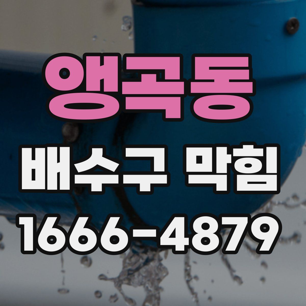 앵곡동 배수구 막힘