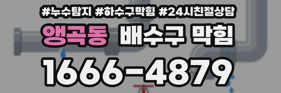 앵곡동 배수구 막힘