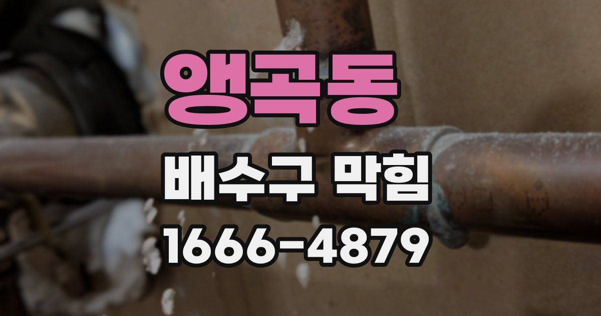 앵곡동 배수구 막힘
