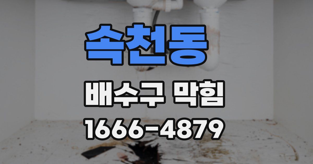 속천동 배수구 막힘