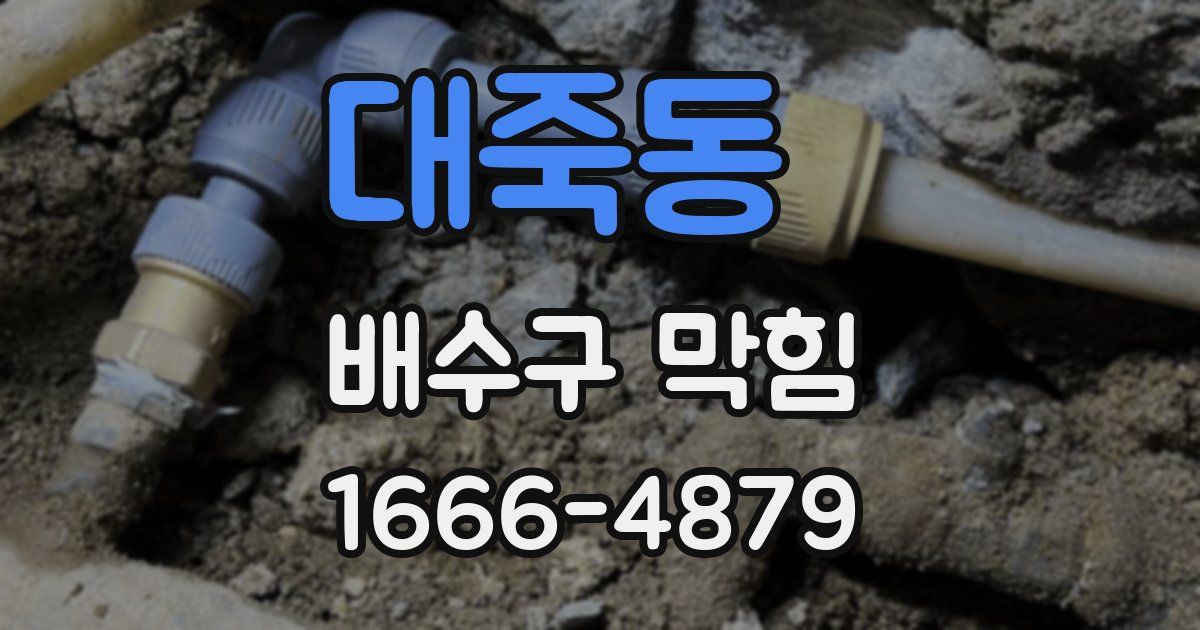 대죽동 배수구 막힘