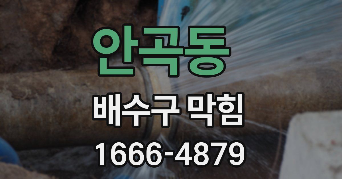 안곡동 배수구 막힘