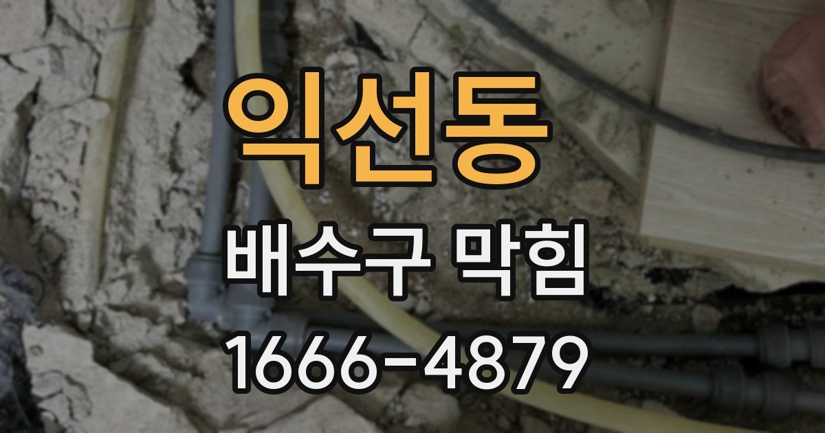 익선동 배수구 막힘