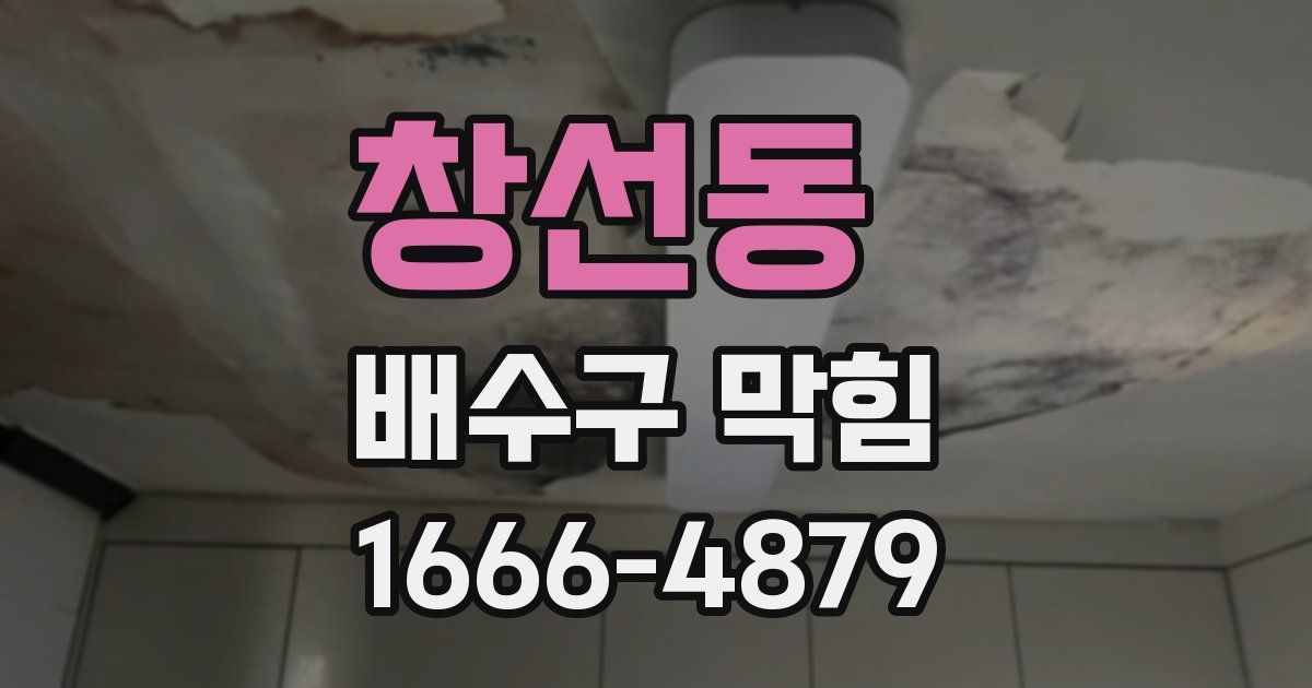 창선동 배수구 막힘