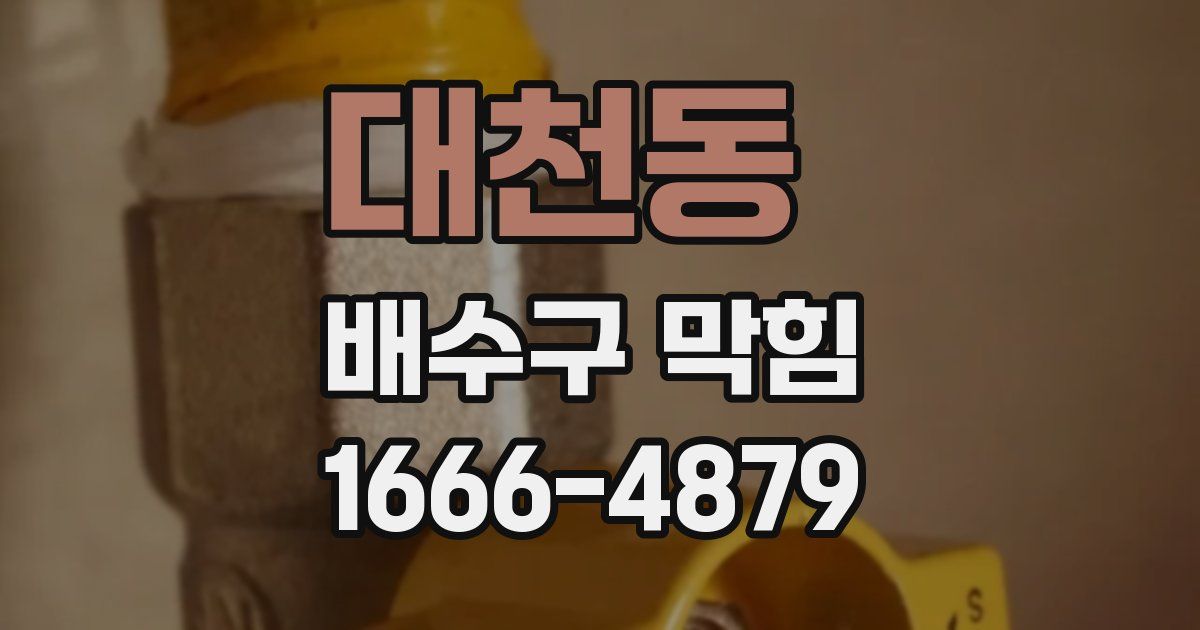 대천동 배수구 막힘