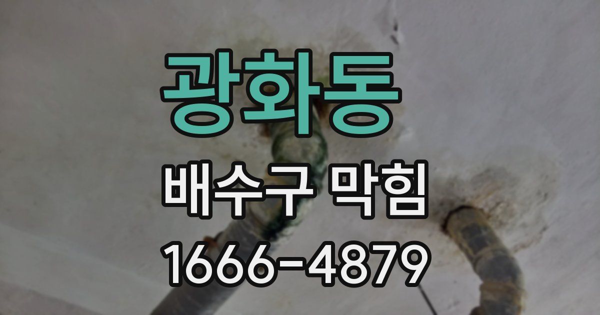 광화동 배수구 막힘