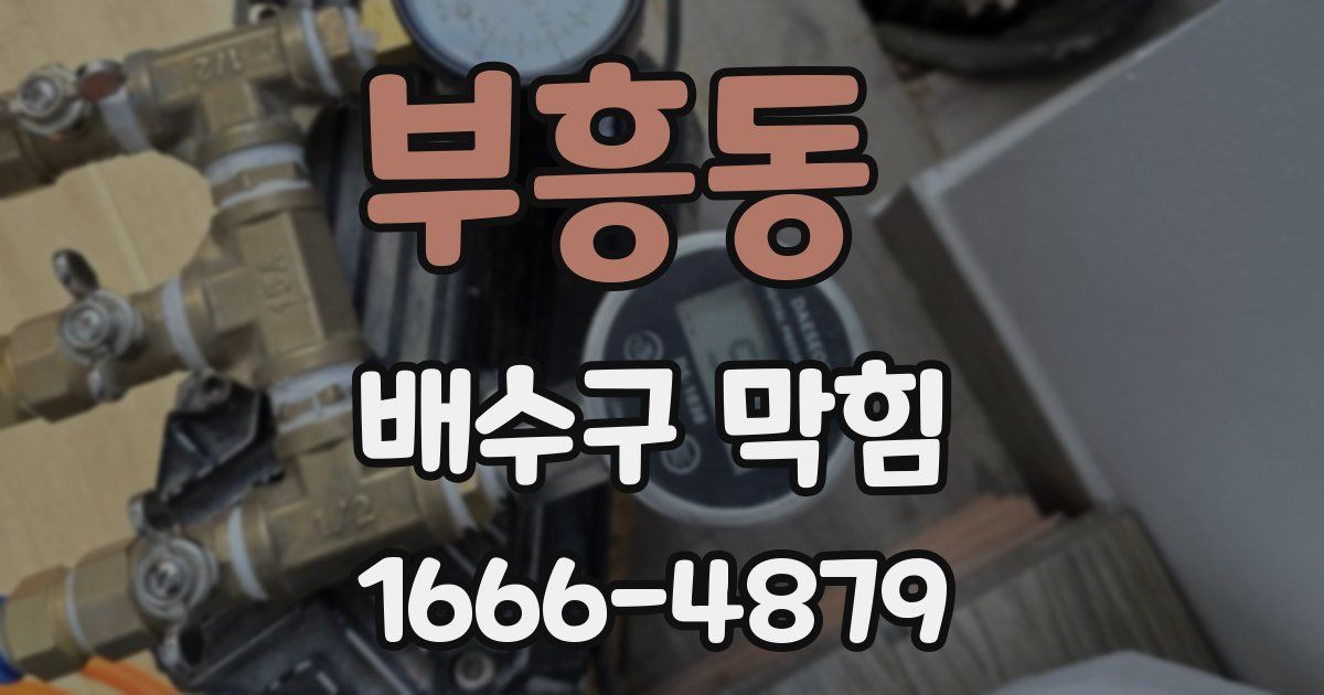 부흥동 배수구 막힘