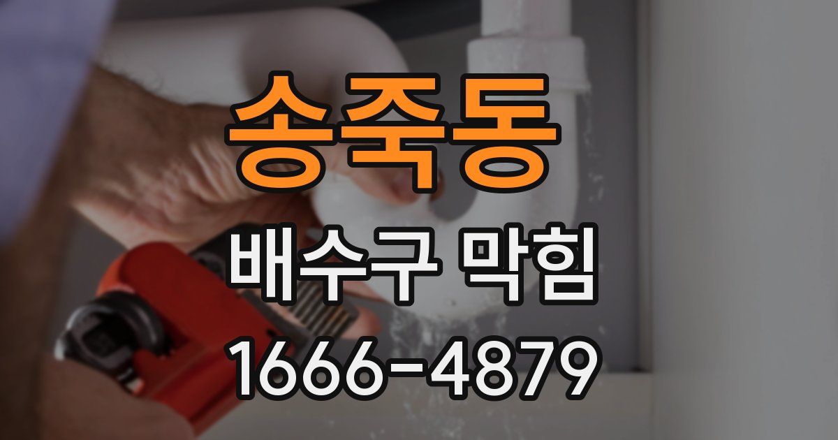 송죽동 배수구 막힘