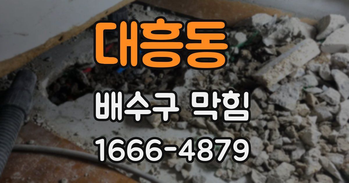 대흥동 배수구 막힘