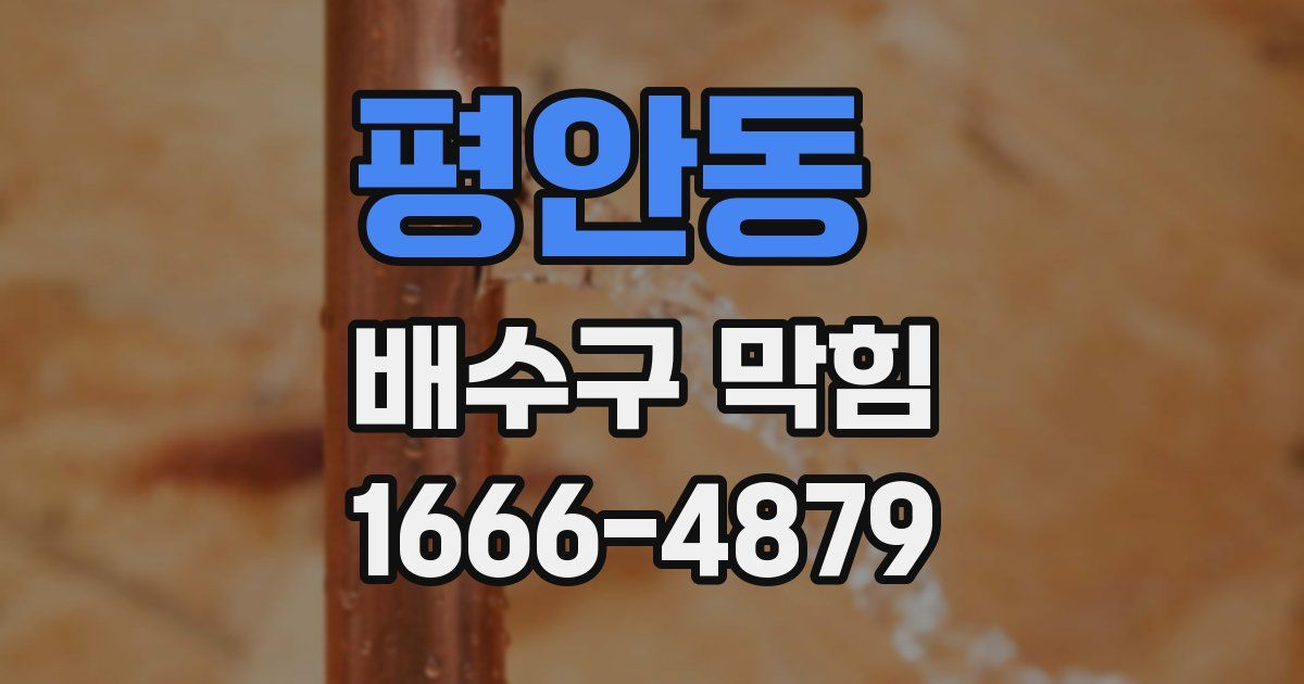 평안동 배수구 막힘