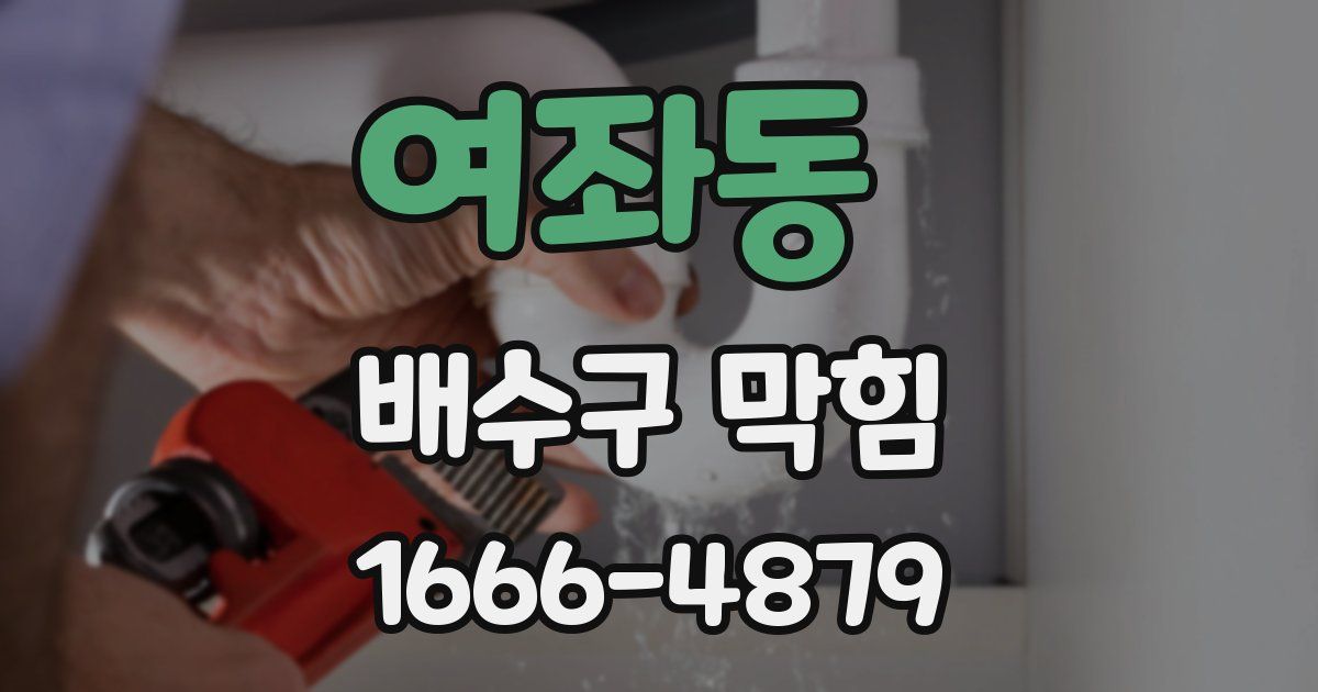 여좌동 배수구 막힘