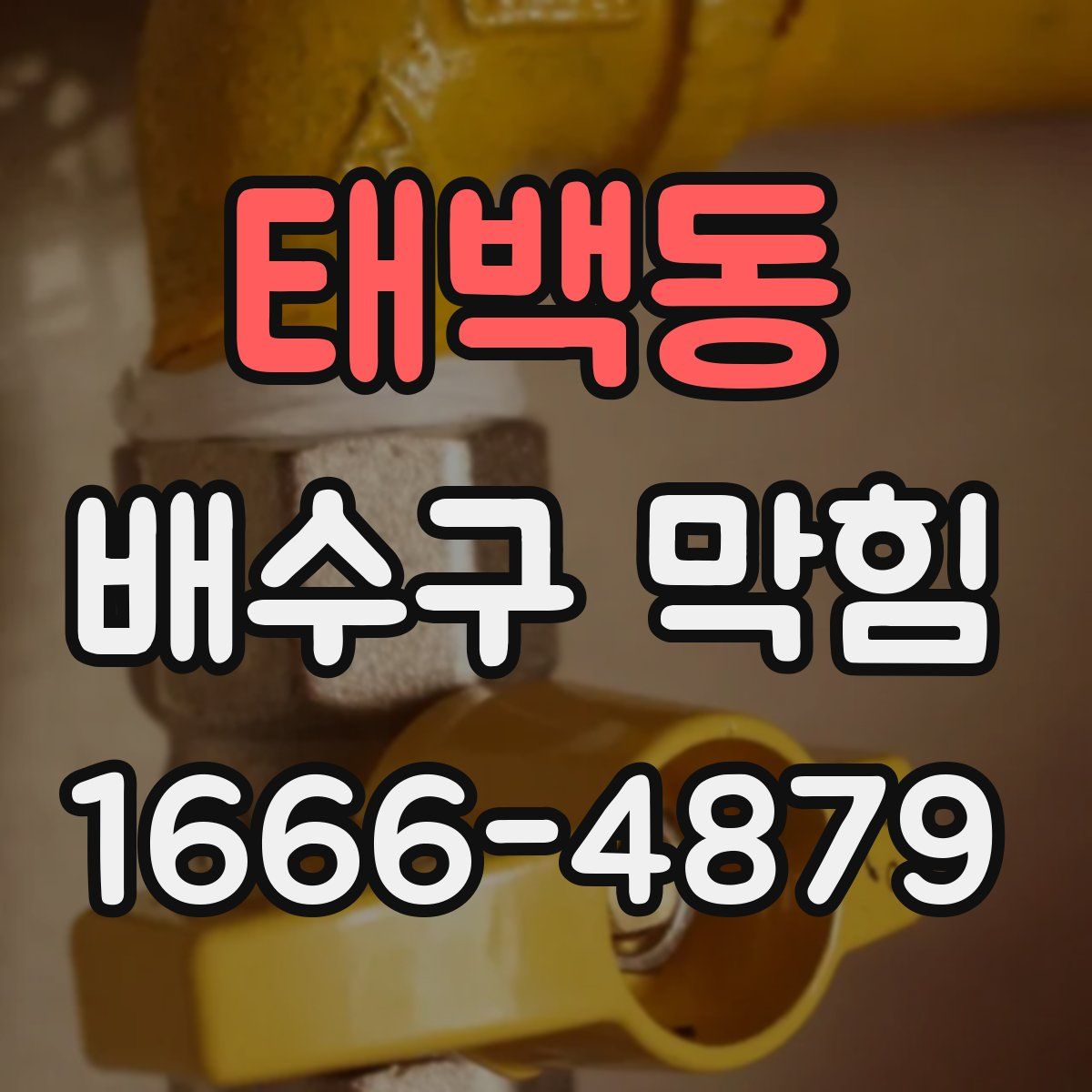 태백동 배수구 막힘