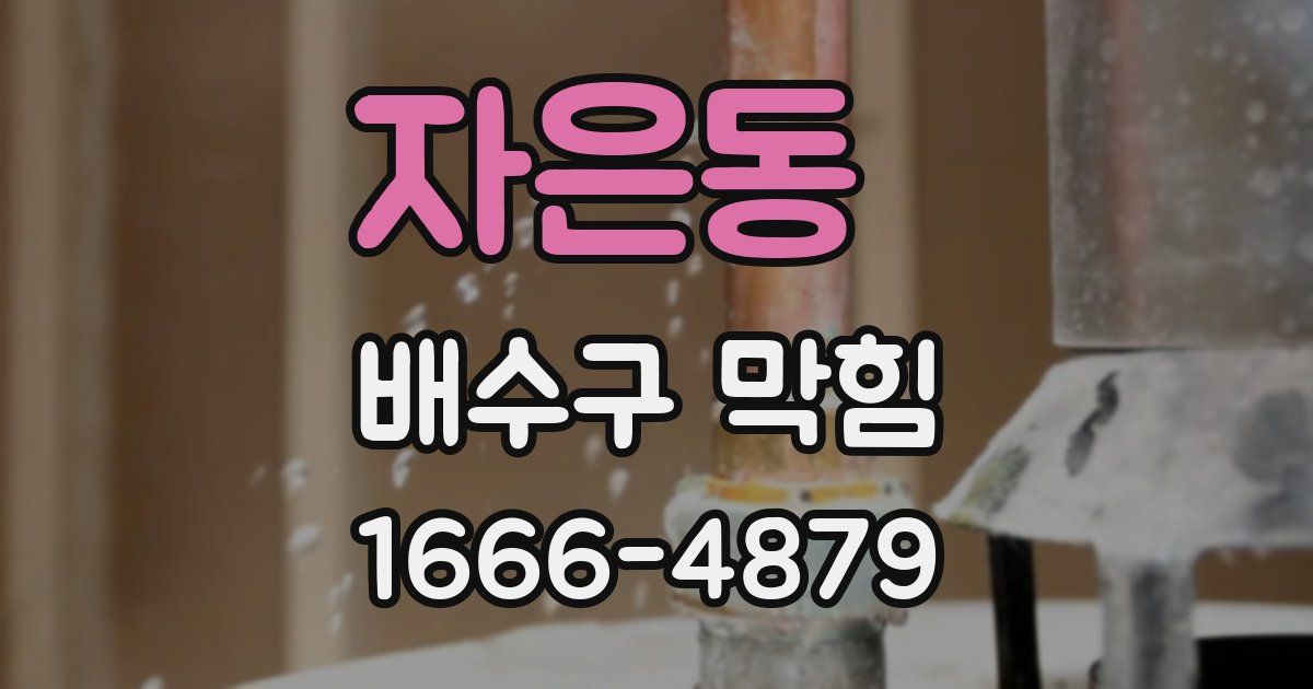 자은동 배수구 막힘