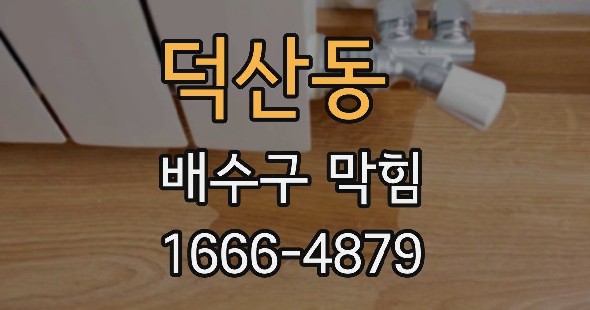 덕산동 배수구 막힘