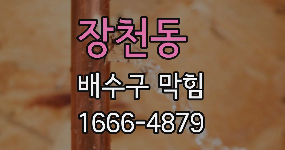 장천동 배수구 막힘