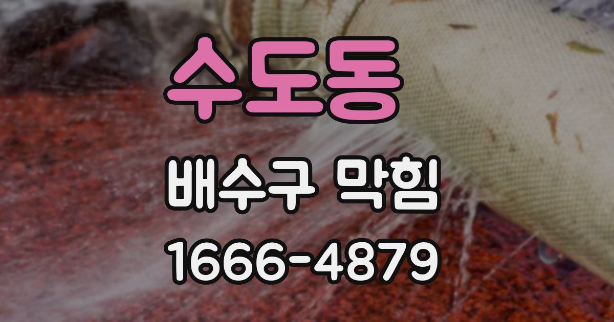 수도동 배수구 막힘