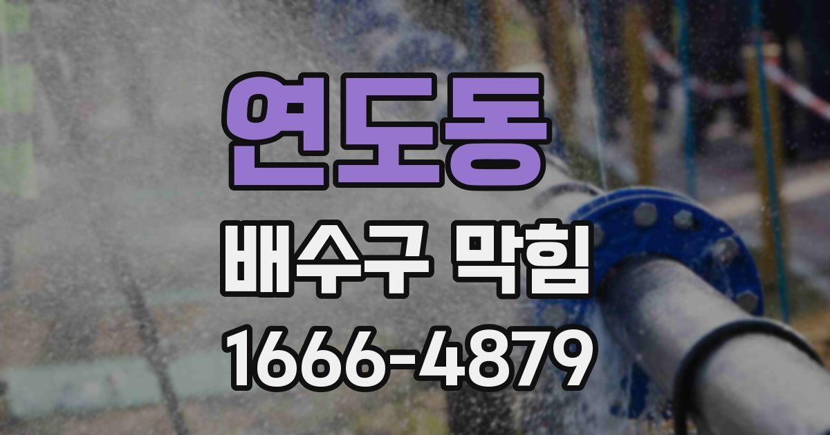 연도동 배수구 막힘