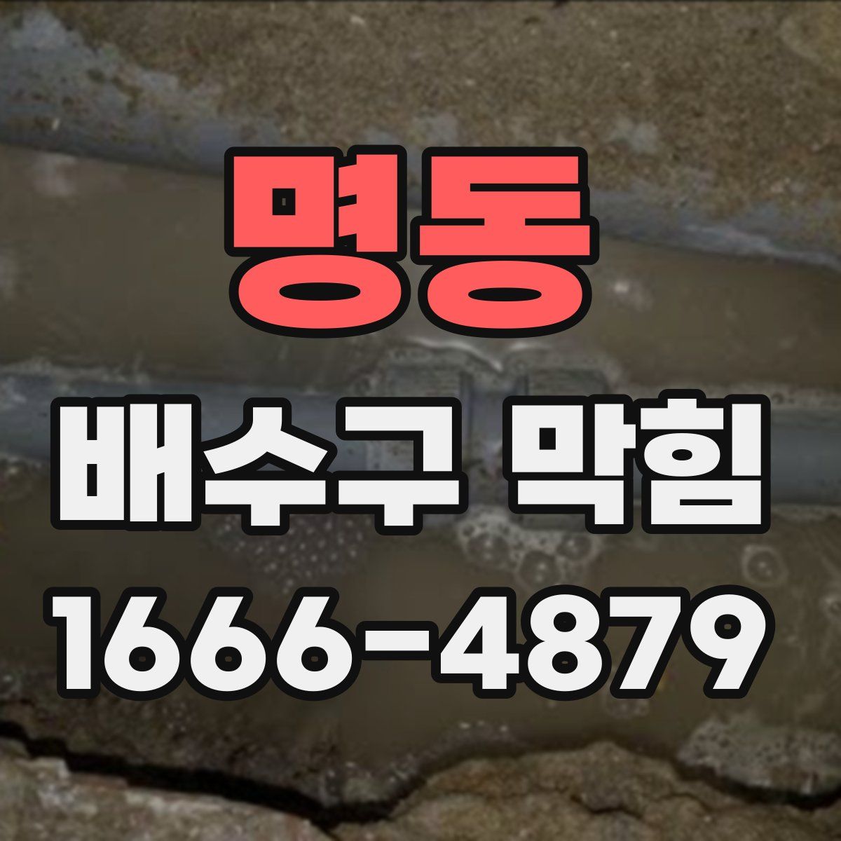명동 배수구 막힘