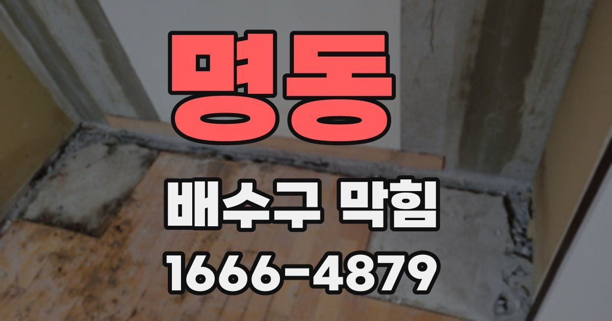 명동 배수구 막힘