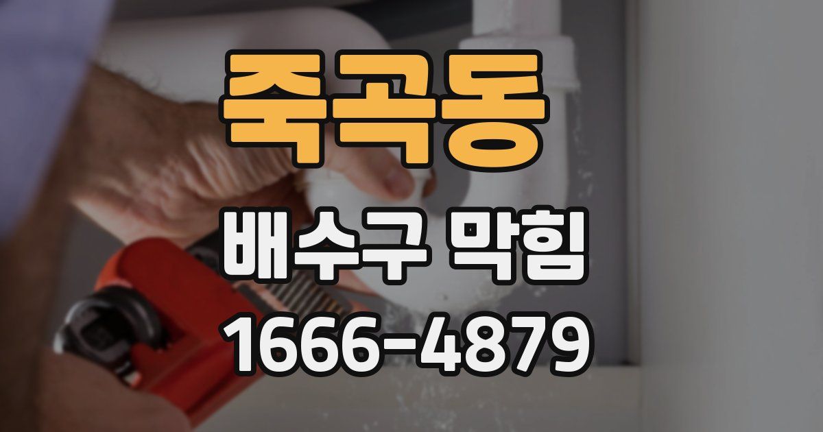 죽곡동 배수구 막힘