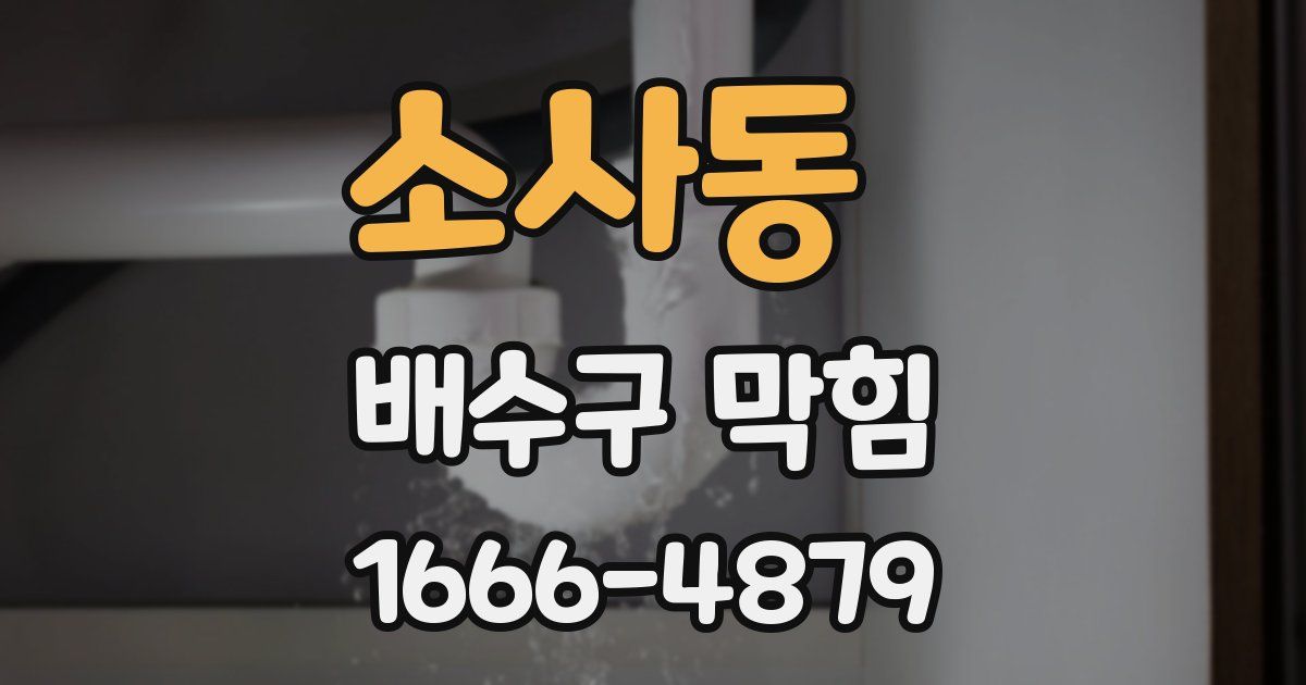 소사동 배수구 막힘