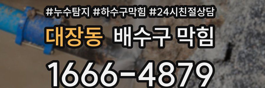 대장동 배수구 막힘