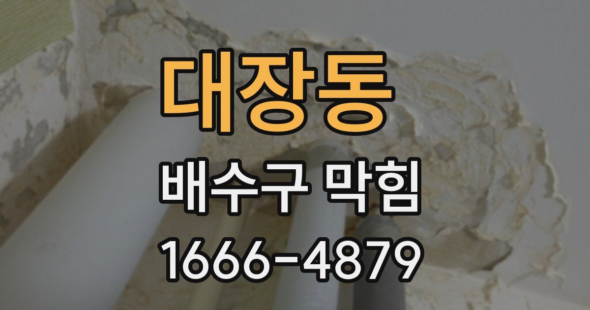 대장동 배수구 막힘