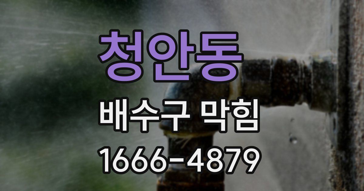 청안동 배수구 막힘