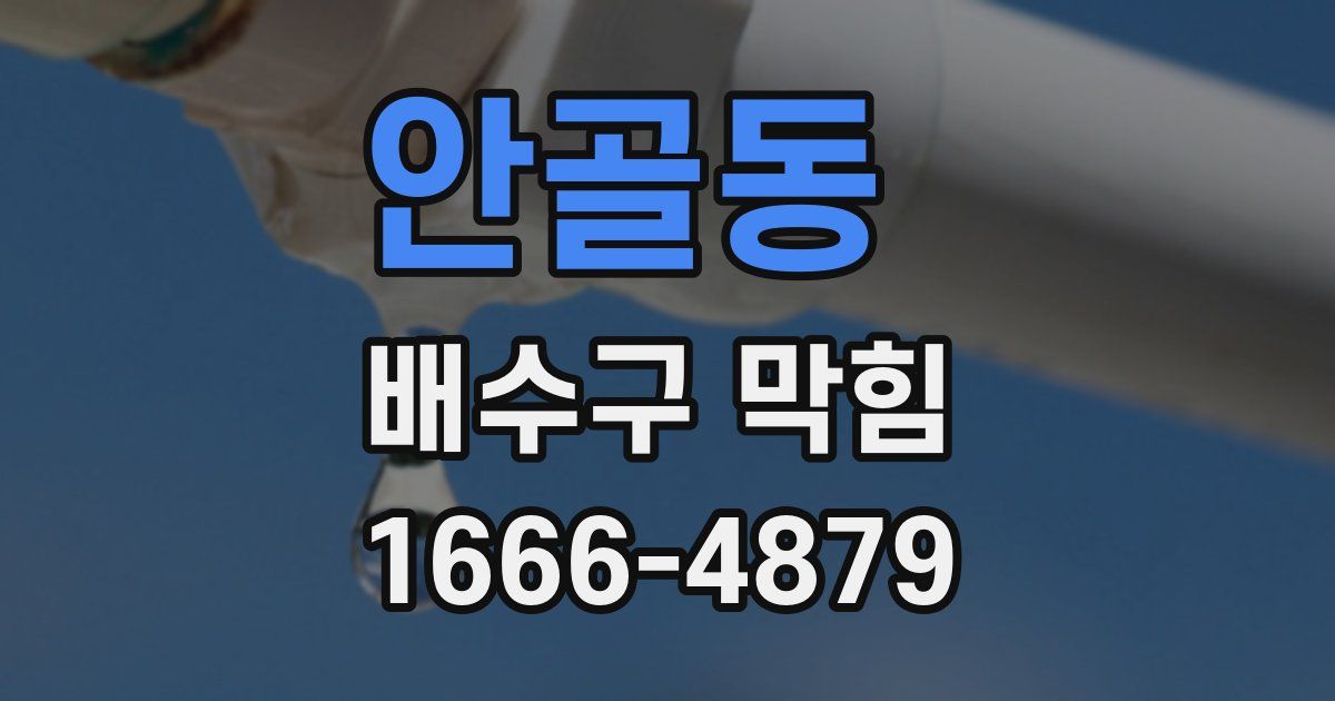 안골동 배수구 막힘