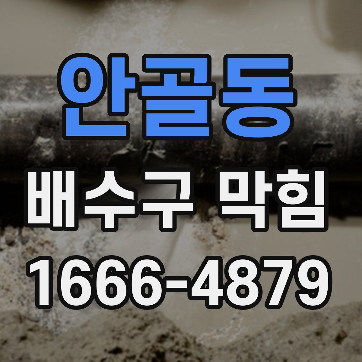 안골동 배수구 막힘