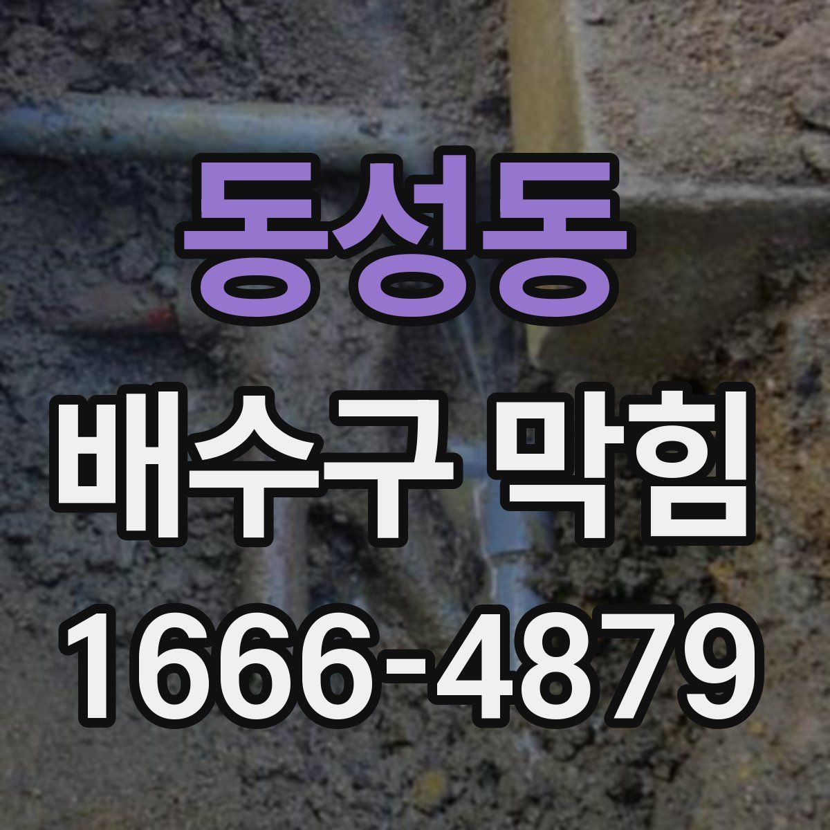 동성동 배수구 막힘