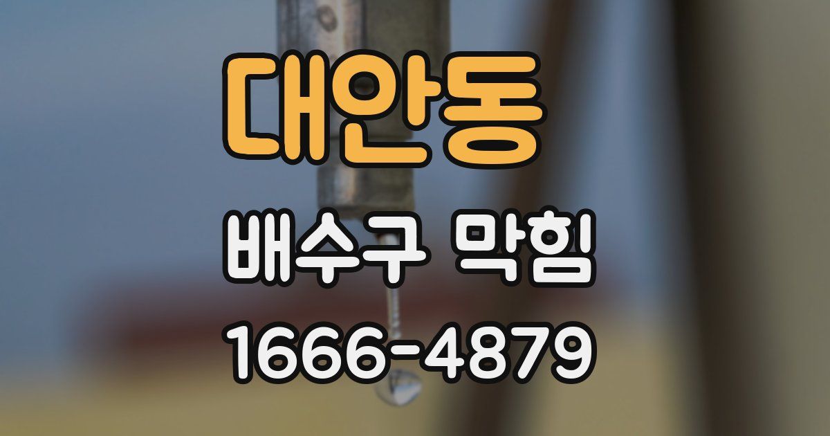 대안동 배수구 막힘