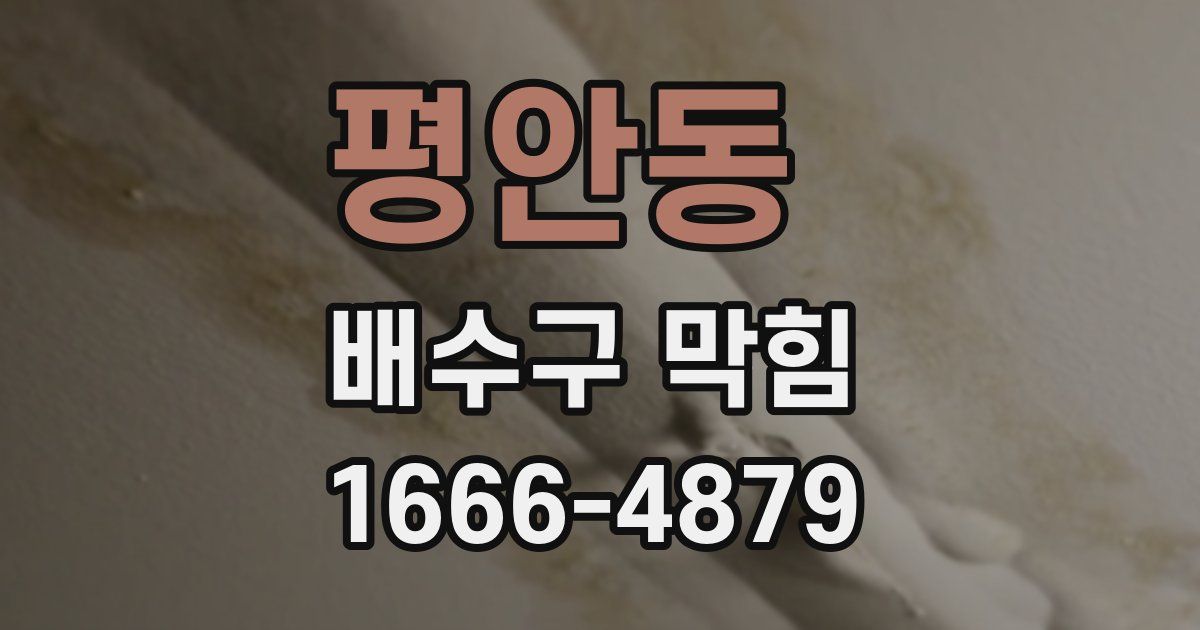 평안동 배수구 막힘