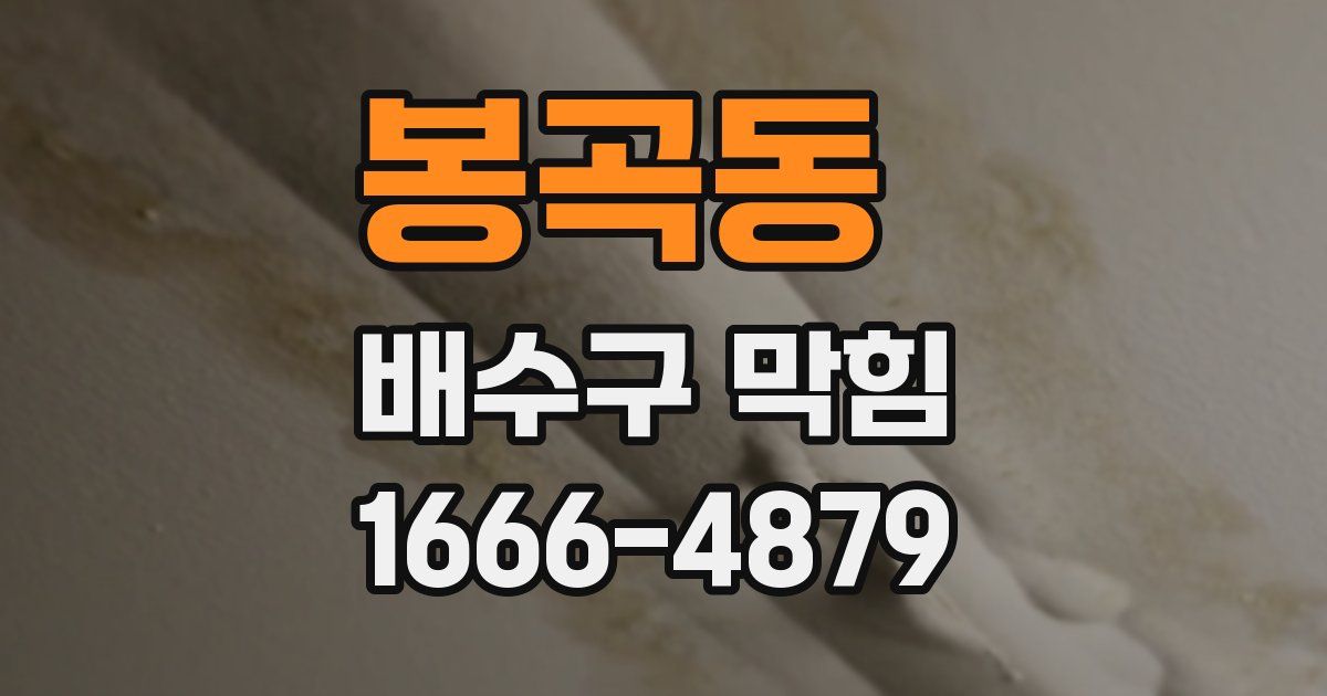 봉곡동 배수구 막힘