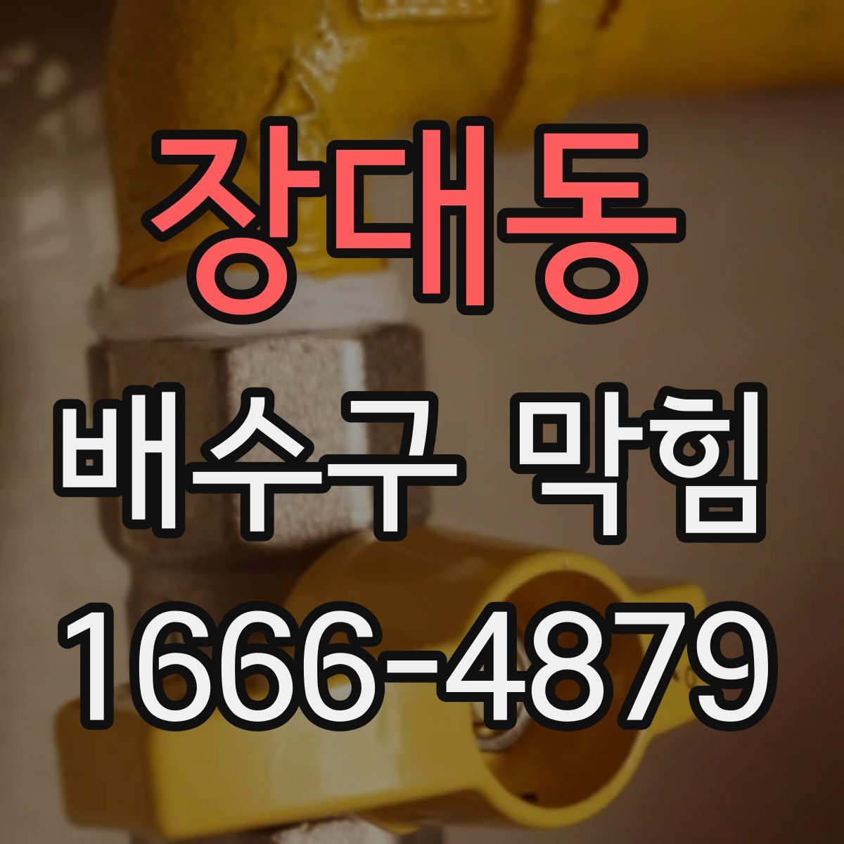 장대동 배수구 막힘