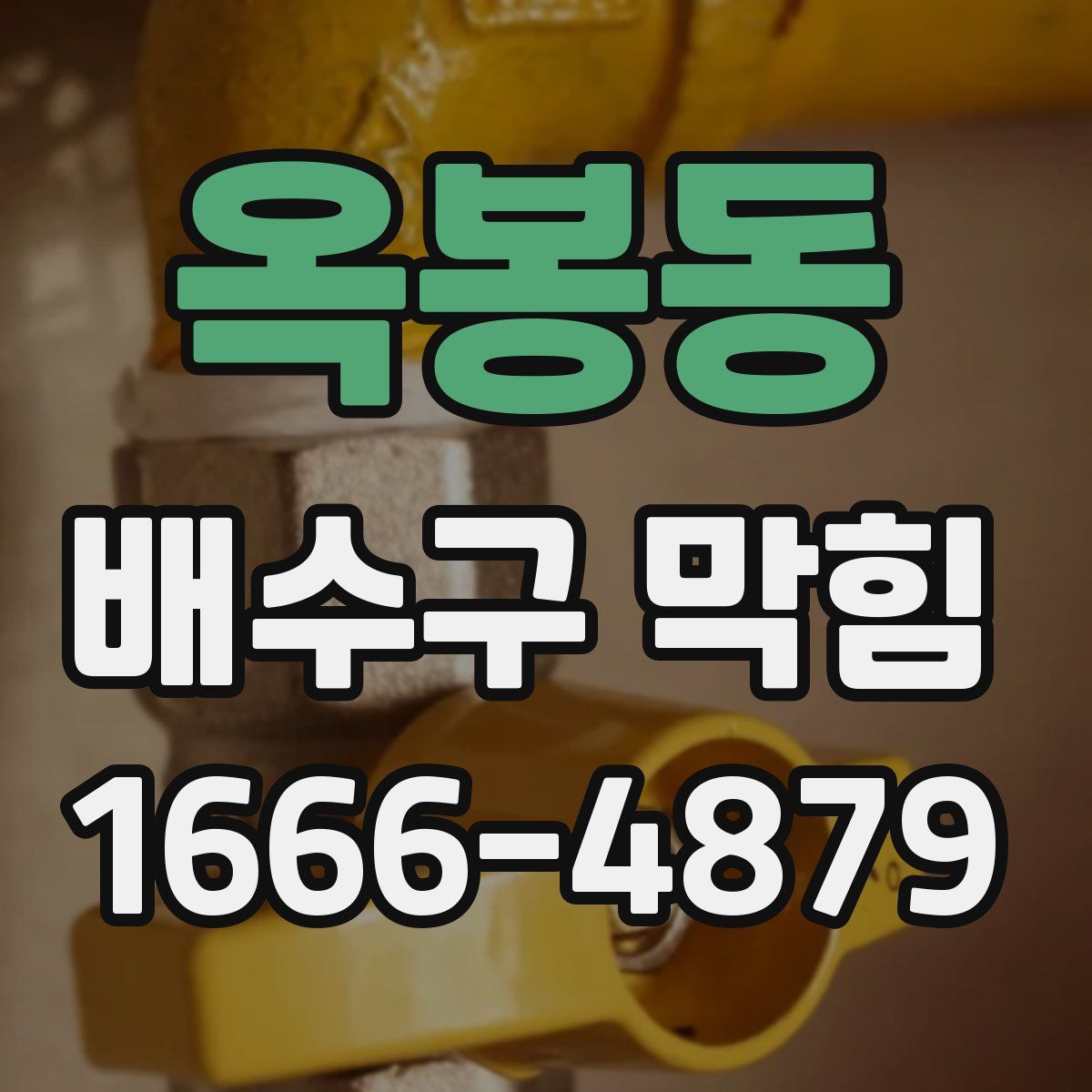 옥봉동 배수구 막힘