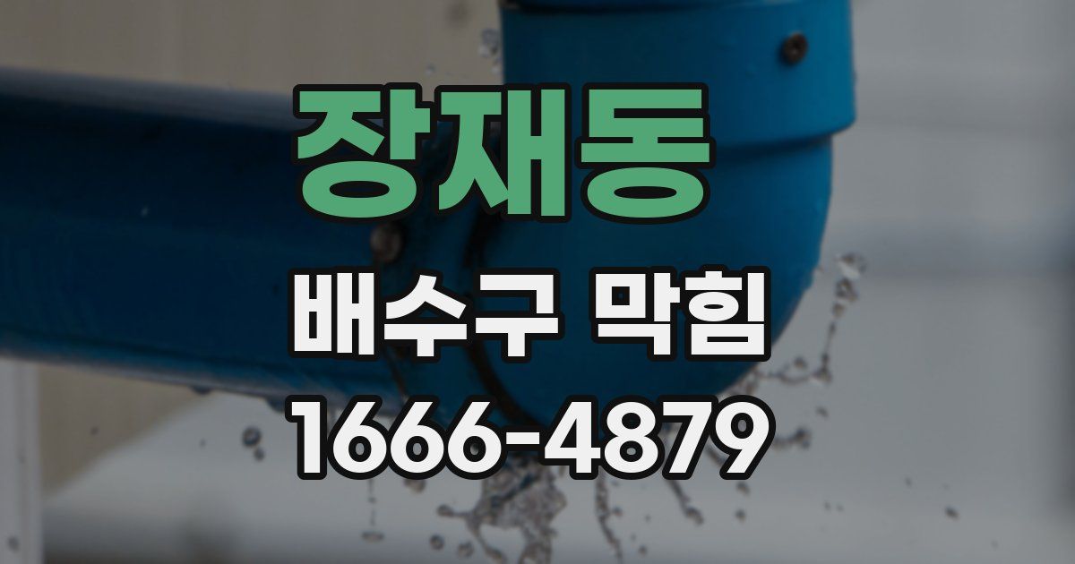 장재동 배수구 막힘