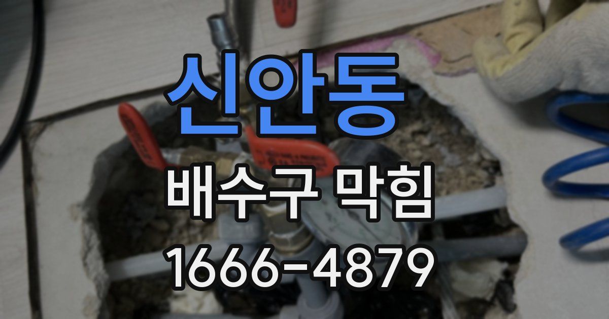 신안동 배수구 막힘