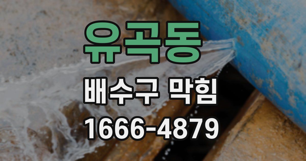 유곡동 배수구 막힘