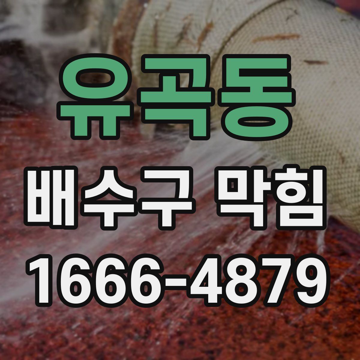 유곡동 배수구 막힘