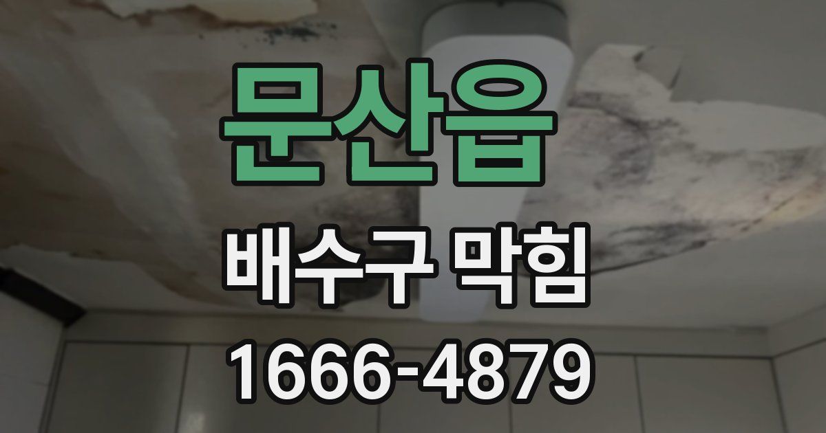 문산읍 배수구 막힘